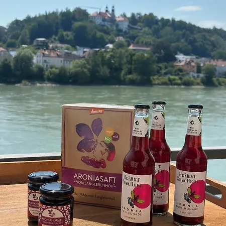 Hotel Schloss Ort Passau
